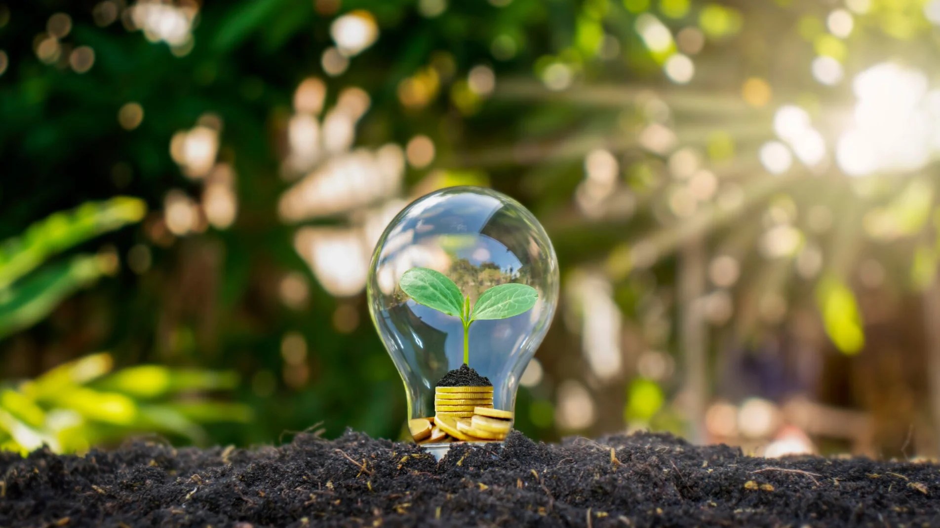Piano sociale per il clima da 9,3 miliardi: dallo sconto in bolletta alle case green, cosa prevede