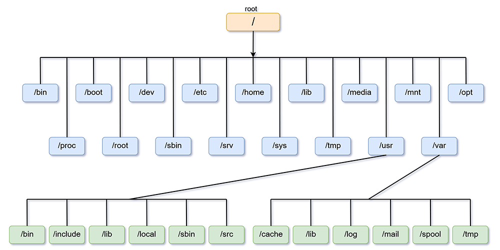 Introduction to Linux File System [Structure and Types] MiniTool