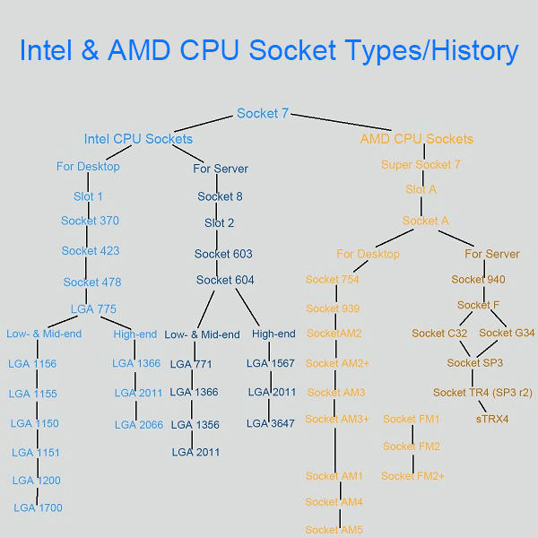 [New Update] Intel and AMD CPU Socket Types with Diagram MiniTool Partition Wizard