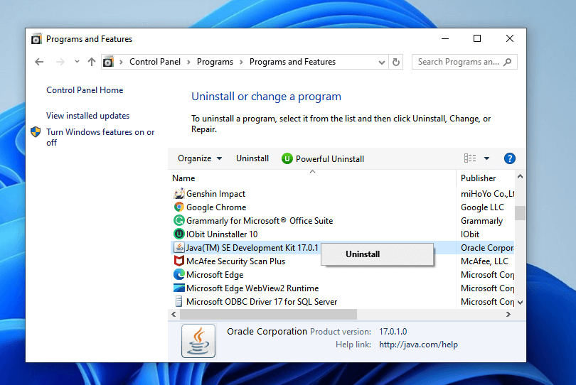 How to Install Java on Windows 11? Here Is a Detailed Tutorial