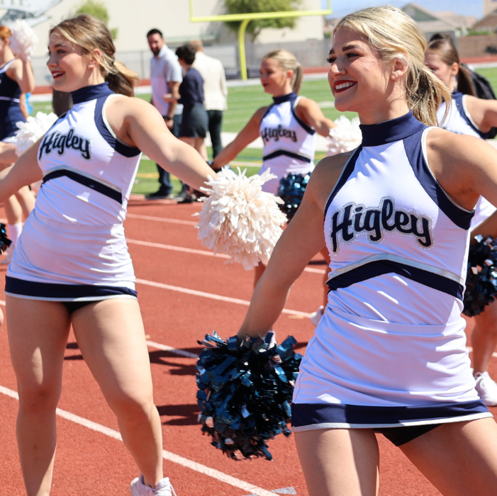 Higley Unified School District Partnership International e.V.