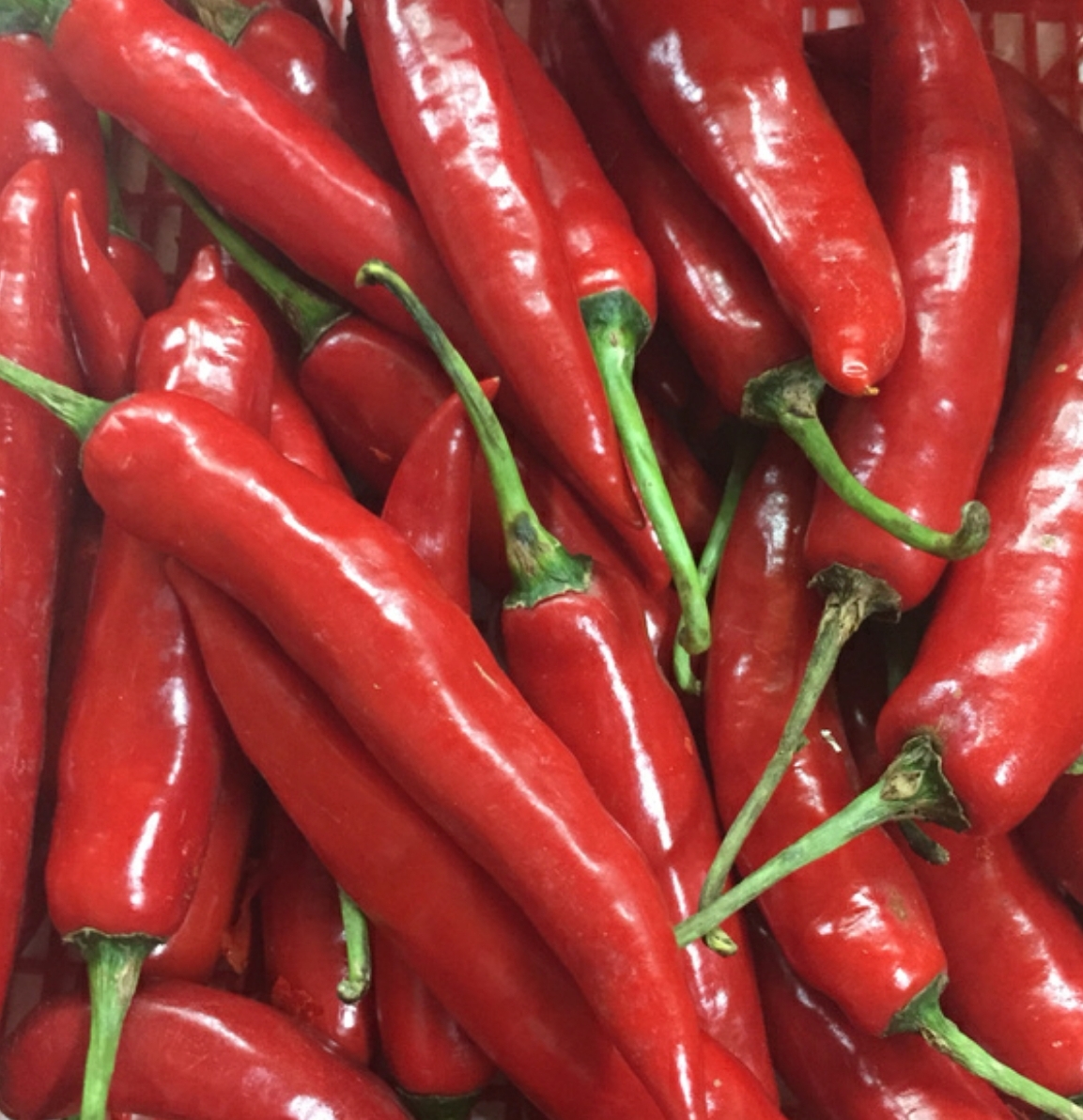 Jelang Akhir Tahun, Harga Cabe Merah di Bogor Tembus Rp 65 Ribu | PERUMDA  PASAR PAKUAN JAYA