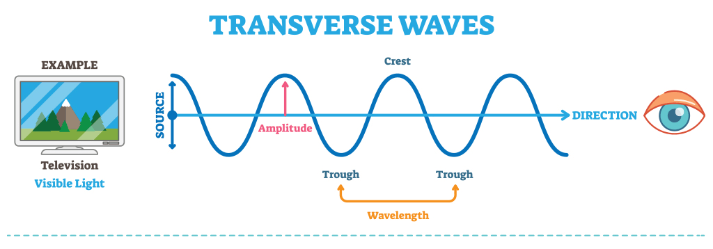 Sound Waves PASCO