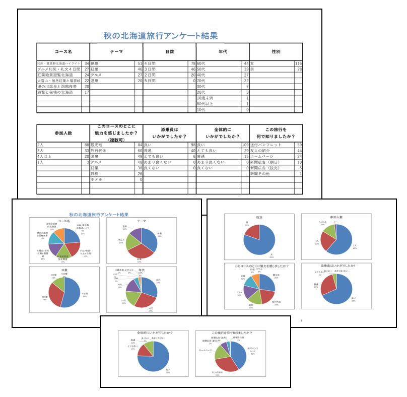 アンケート集計と円グラフ作成 エクセル Eテキスト