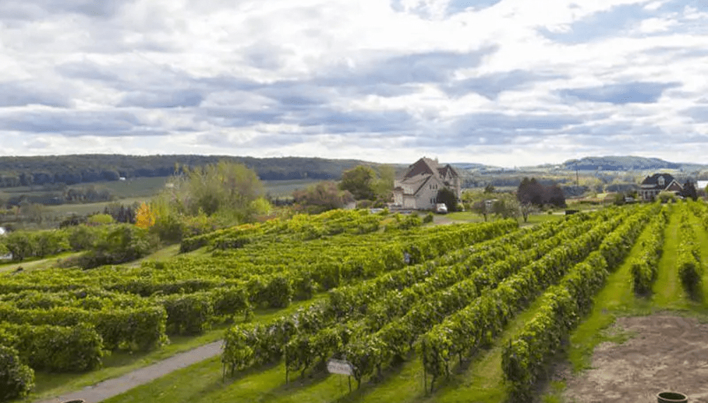 La Bullerie Vignoble StJosephdulac Laurentides Fiche