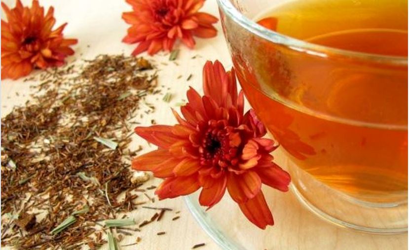 Tisane al Rooibos per dimagrire benefici e consigli
