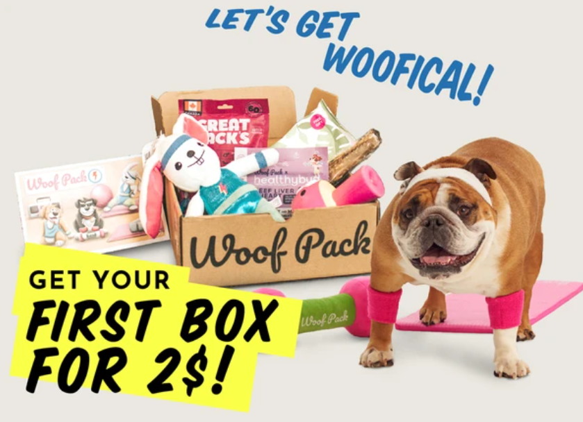 Woof Pack Dog Boxes! These are so cute! Save BIG today!