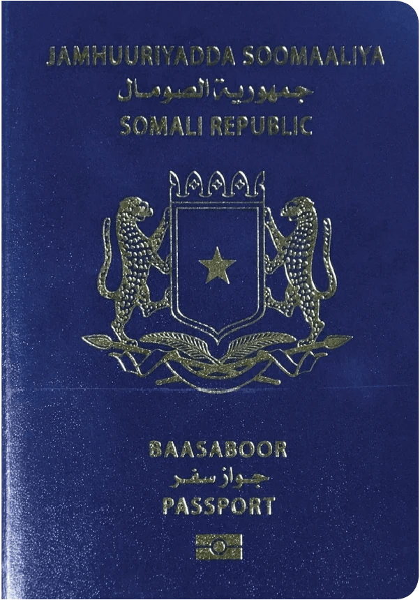 Explore the World of Passports by Region or Type Passport Index 2020