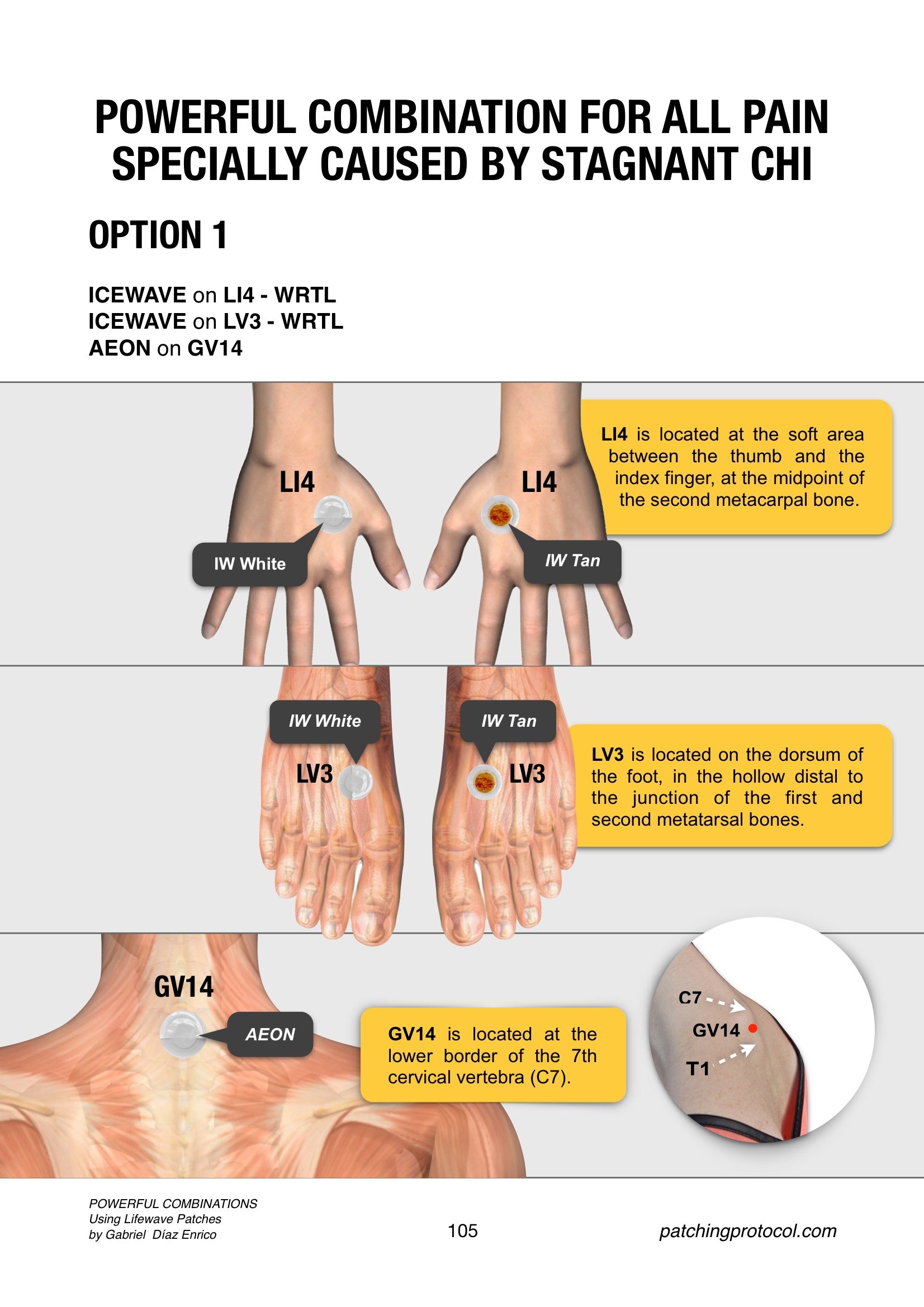 POWERFUL COMBINATIONS Using LifeWave Patches106 Patching Protocol