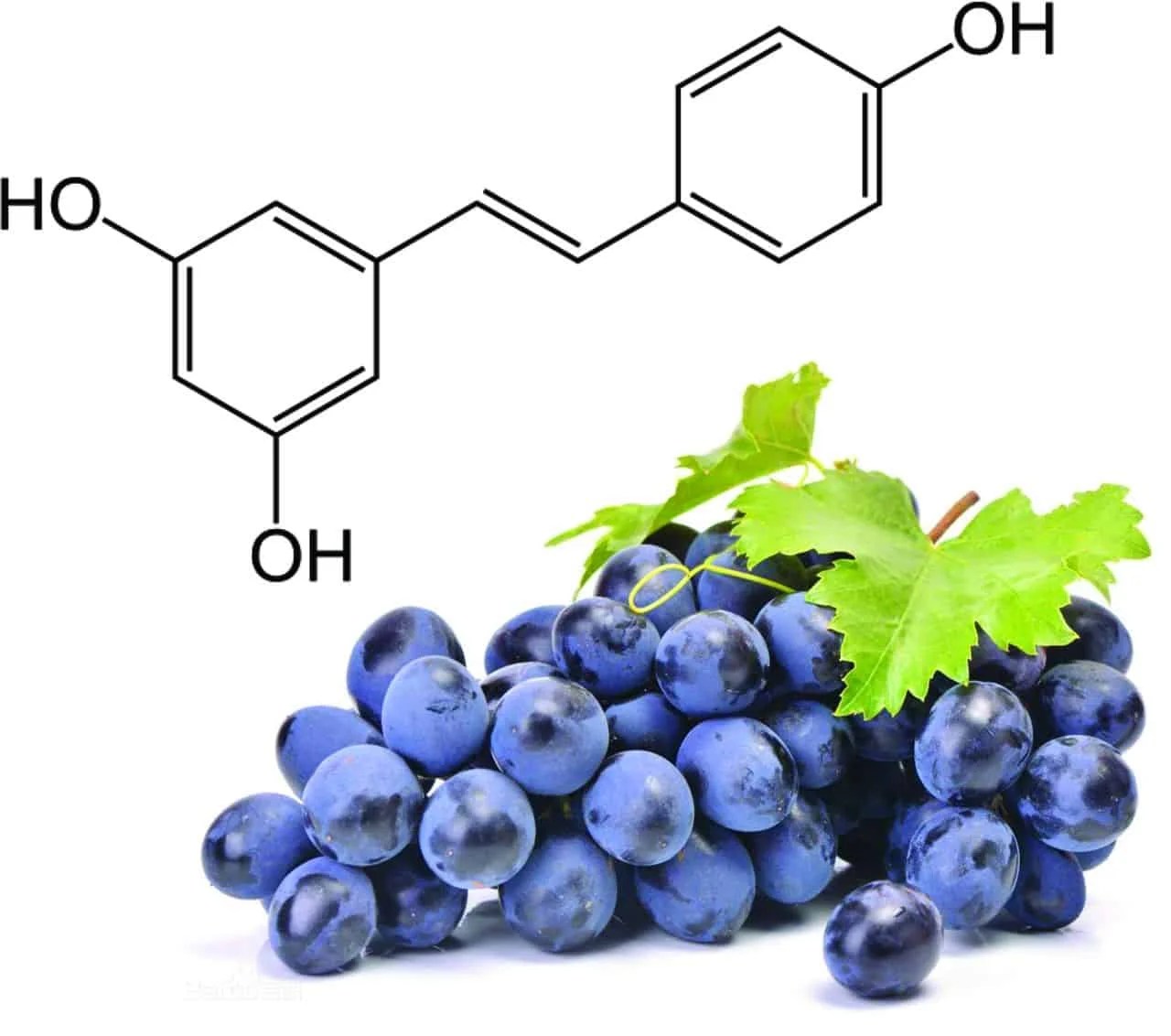Benefits of resveratrol PatchMD