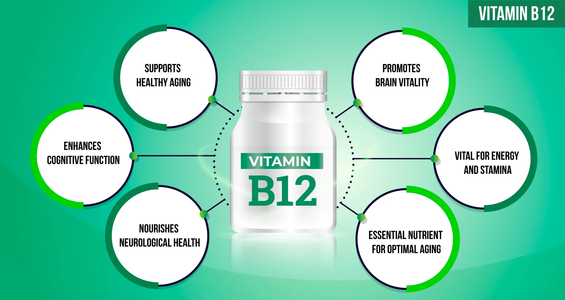 Vitamin b12 and Aging How B12 Plays a role in Healthy Aging and