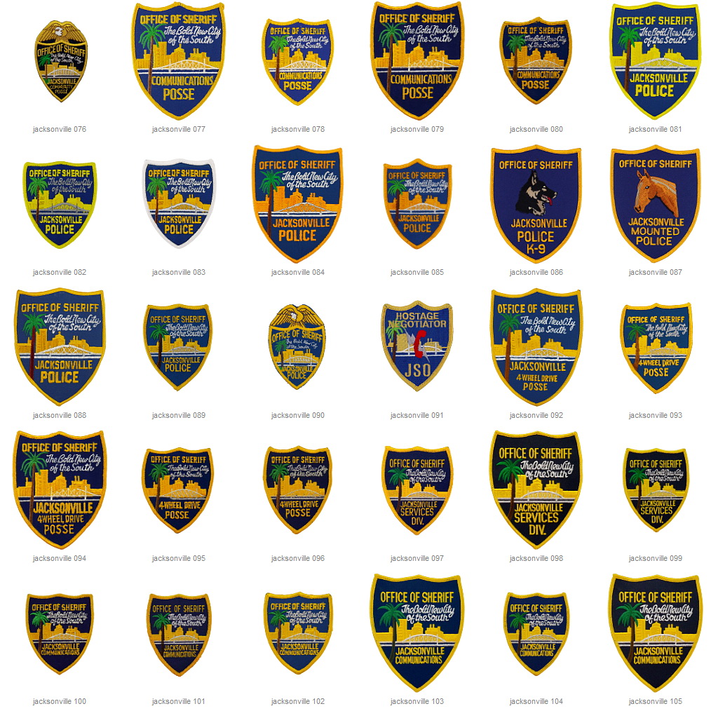 Duval County Patrol and Jacksonville Sheriff's Office (JSO)