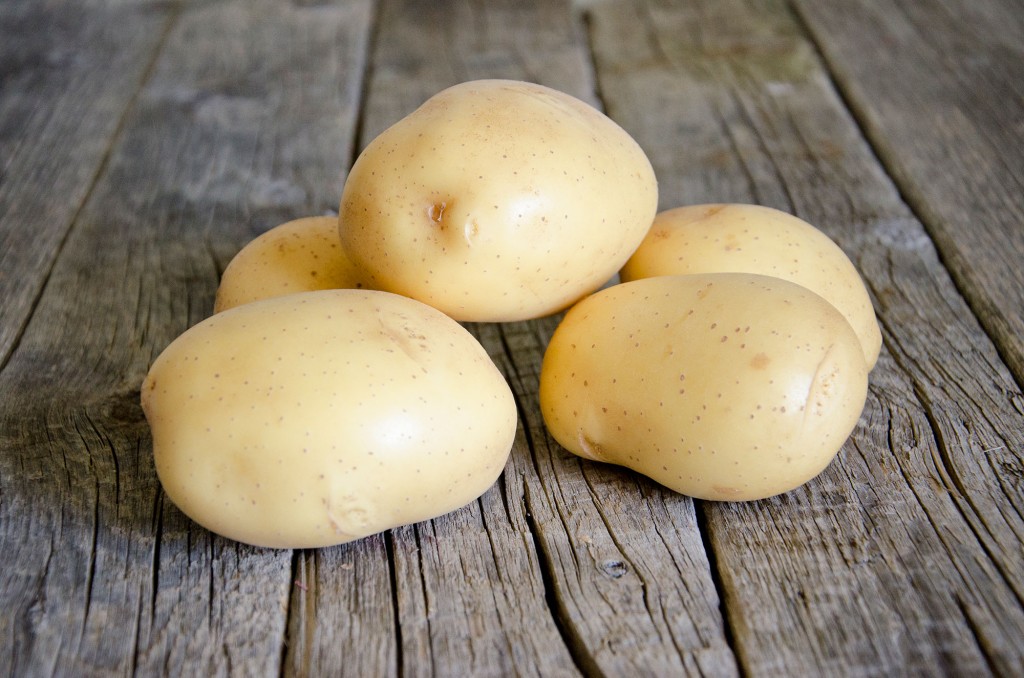 ORGANIC Connect Seed Potatoes Buy seed potatoes online at Patch