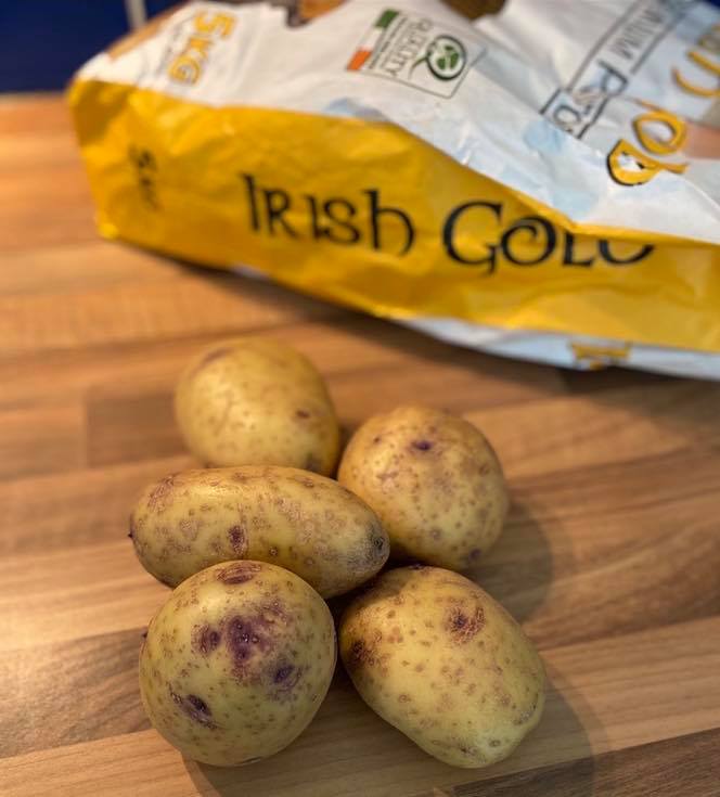 IRISH GOLD Seed Potatoes Patch