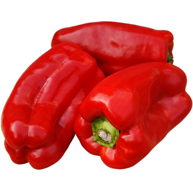 Pepper Jubilandska Red Bell Pepper Seed Patch