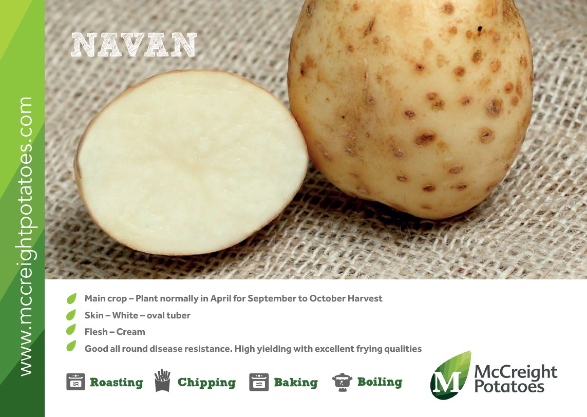 2023 Nebraska Seed Potato List Navan Seed Potatoes - Patch