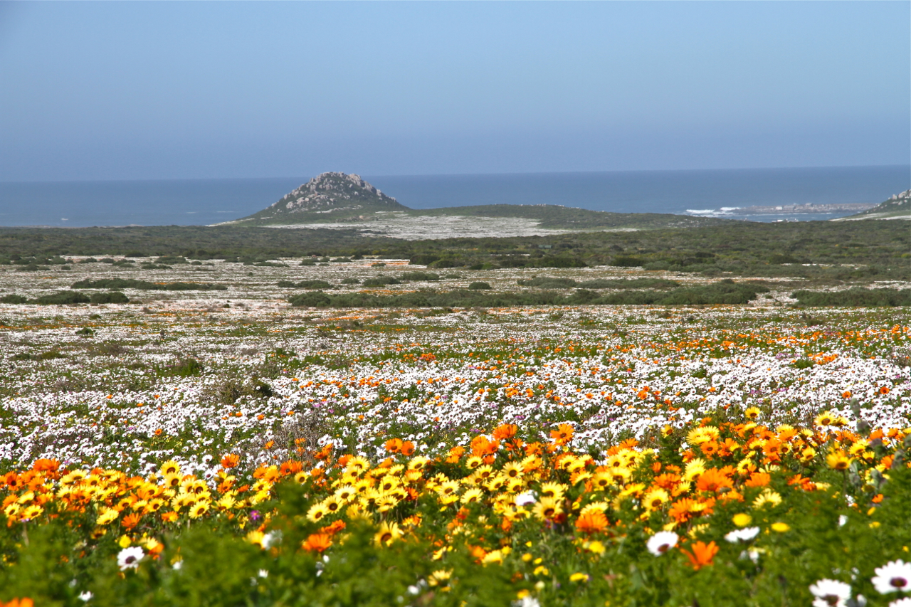 A Reminder That After Winter Comes Spring Pat Elk