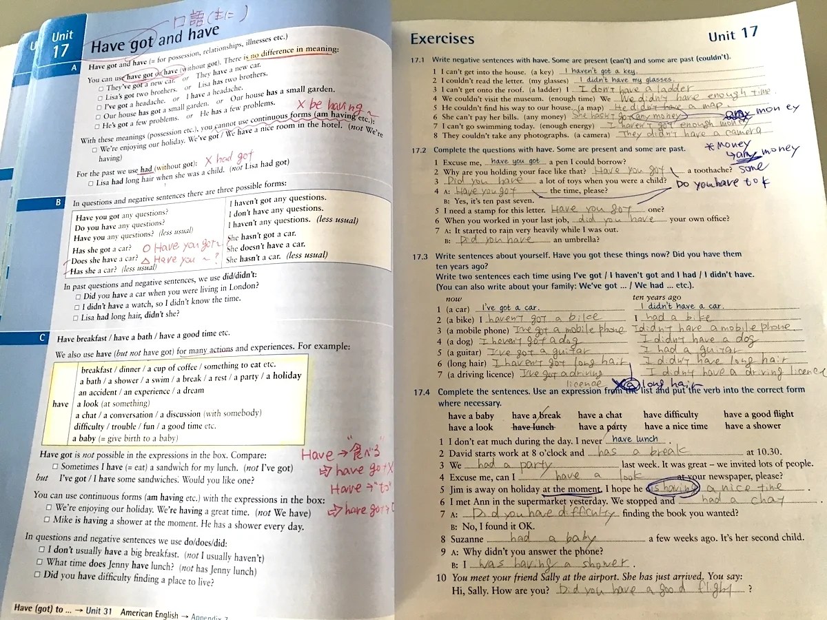 【ネイティブの英文法を】English Grammar in Use【特徴・使い方を解説】 There is no Magic!!