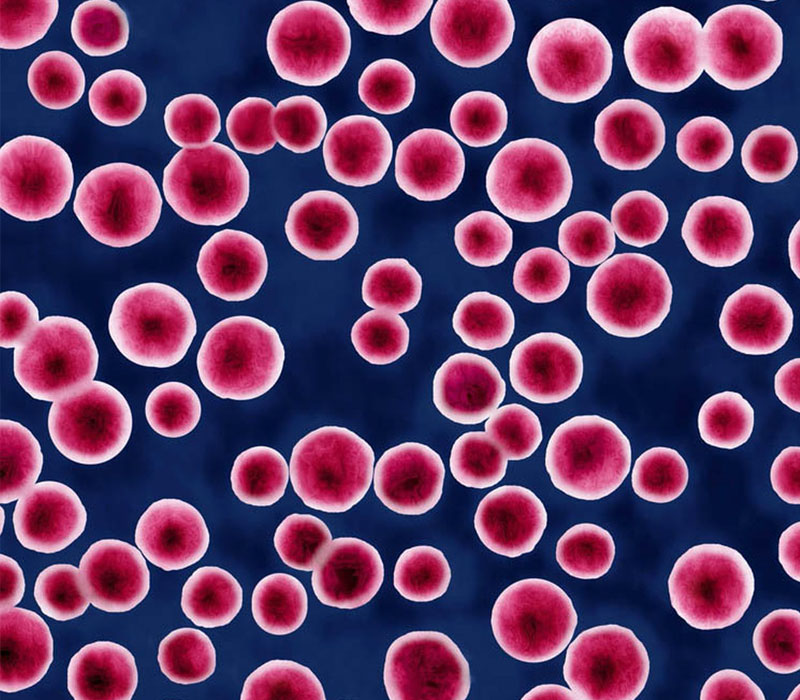 CDC Reports That STD Rates Remain Far Too High PathAdvantage