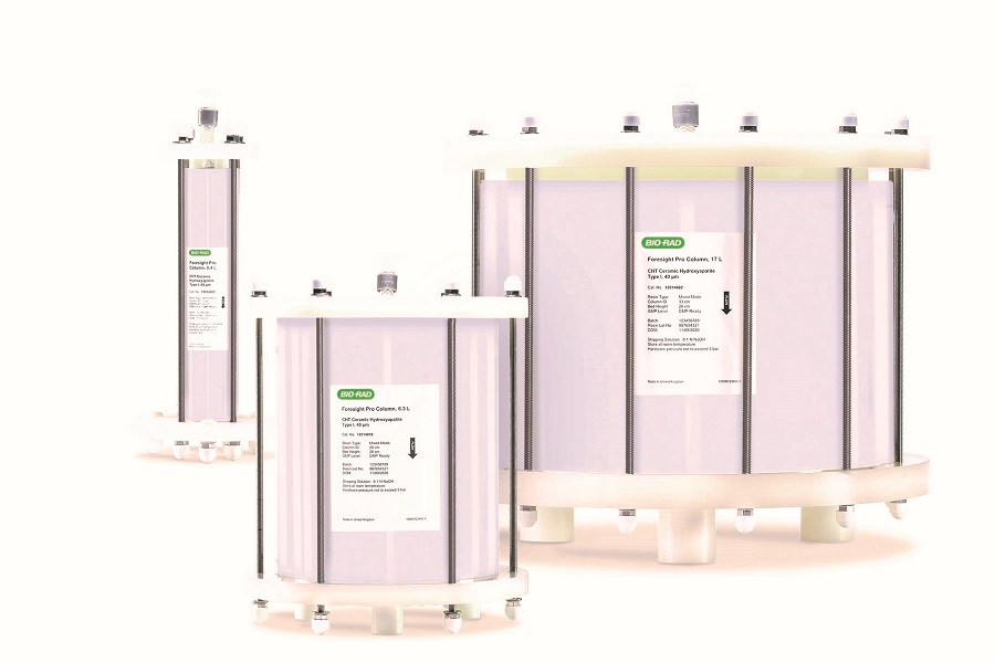 Prepacked columns support process chromatography workflows