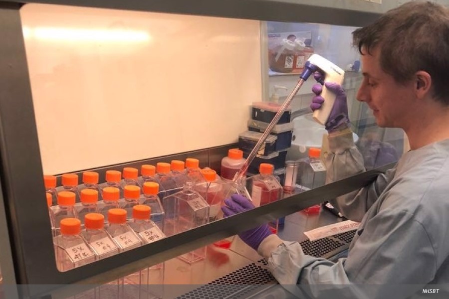 Clinical trial sees patients receive laboratory grown red blood cells