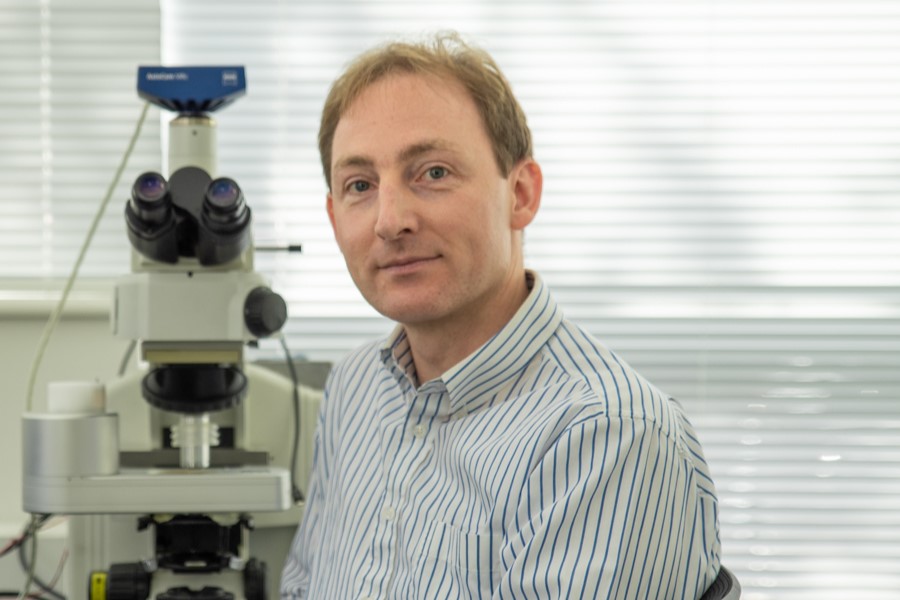 Linkam presents new cryoelectron microscopy research at Microscopy