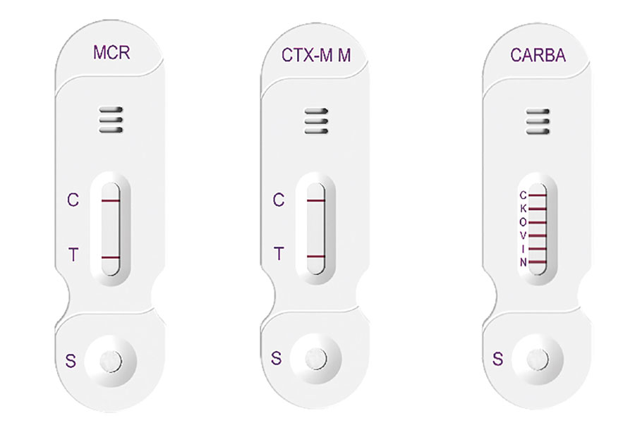 Lateral flow immunoassays a new era of antimicrobial resistance detection
