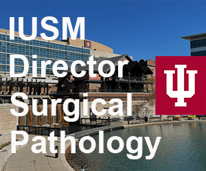 Holiday Bazaar At Shelton Pavilion 2023 Schedule Pathology Outlines - Jobs