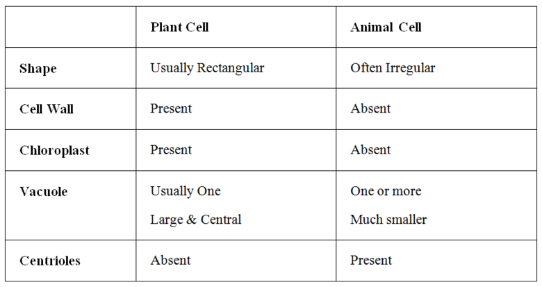 Check spelling or type a new query. Cells Plant Vs Animal Cells Pathwayz