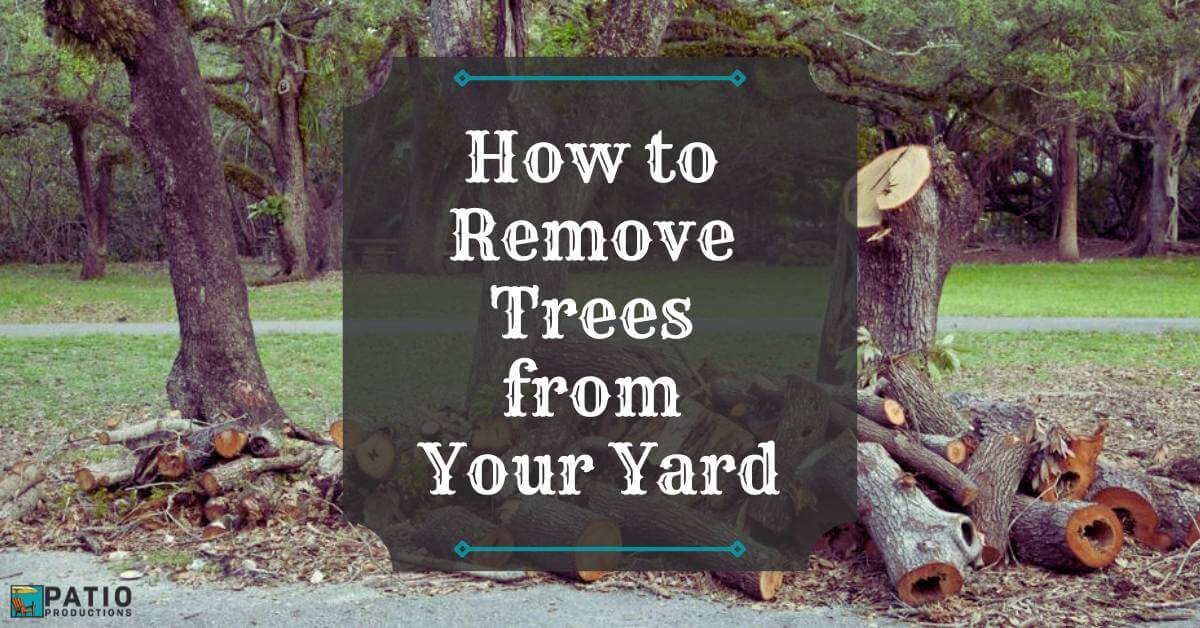 How to Remove Trees from Your Yard