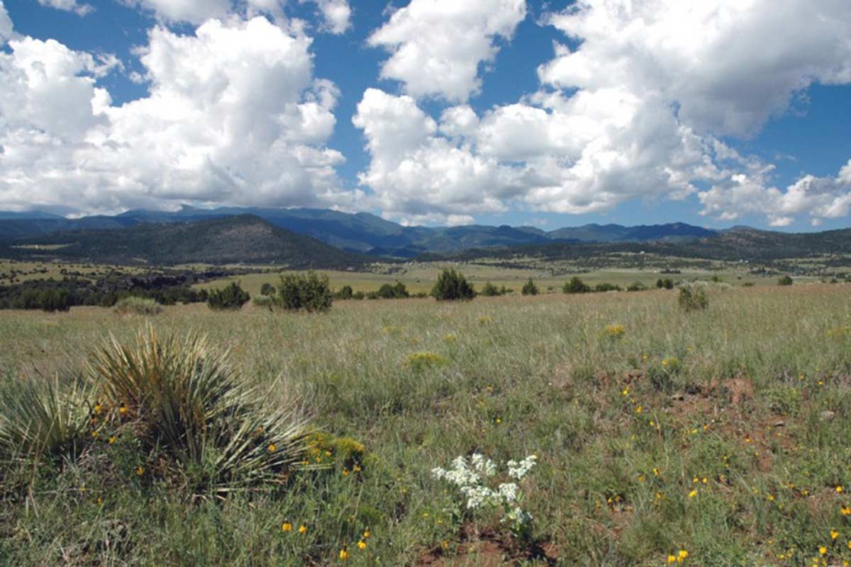 Sold Properties Patten Properties