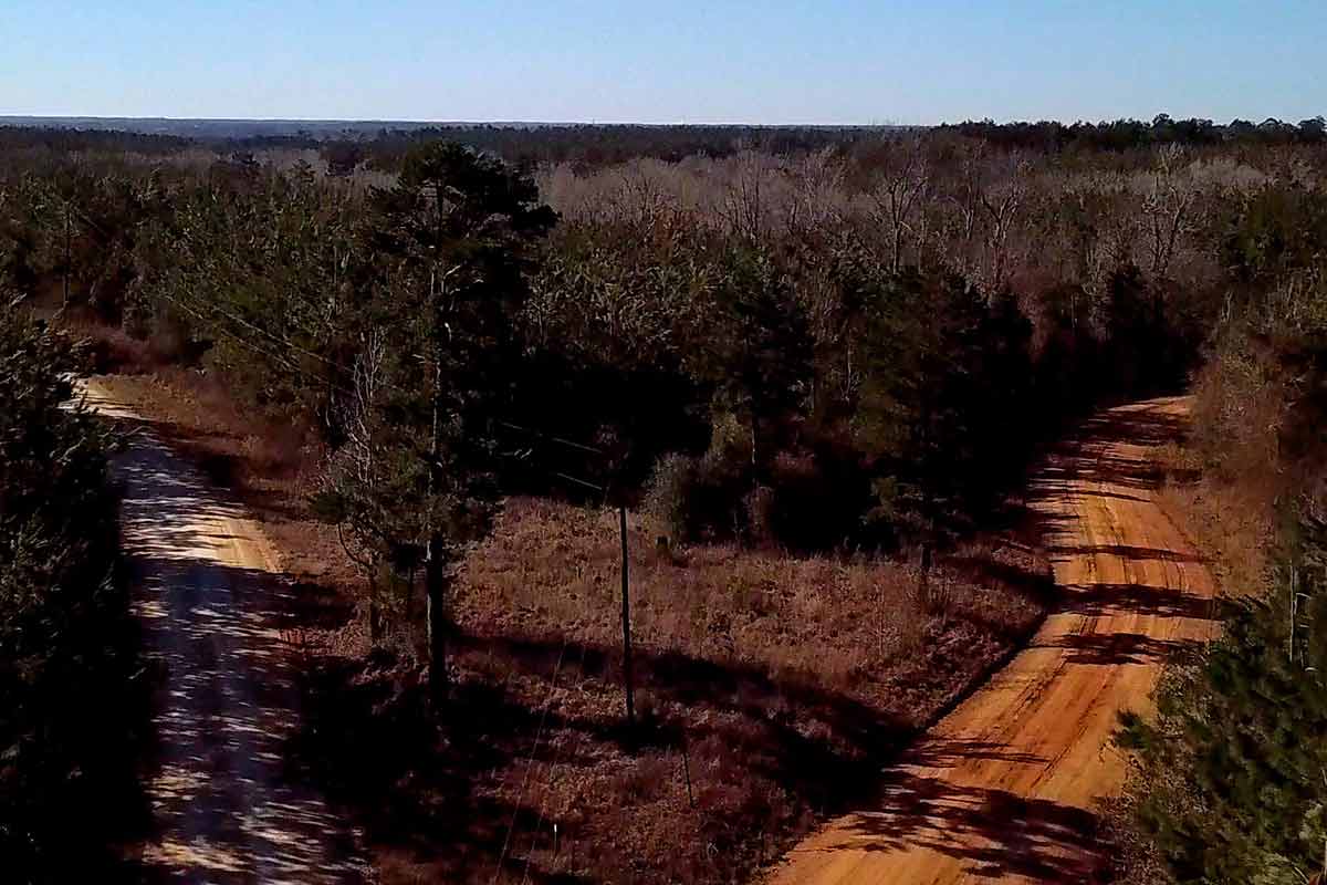 Whitetail Woods Patten Properties