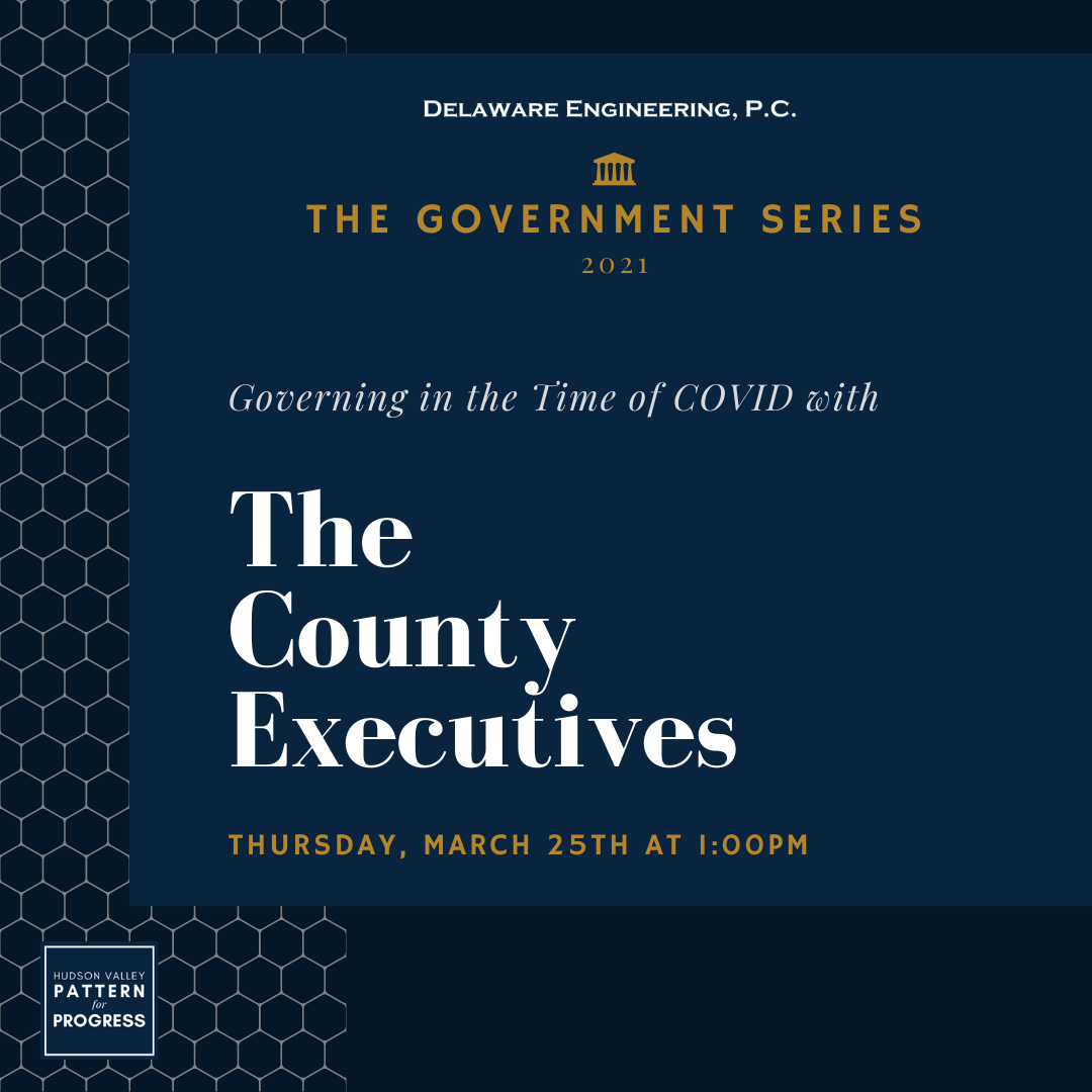 The Government Series The County Executives Hudson Valley Pattern