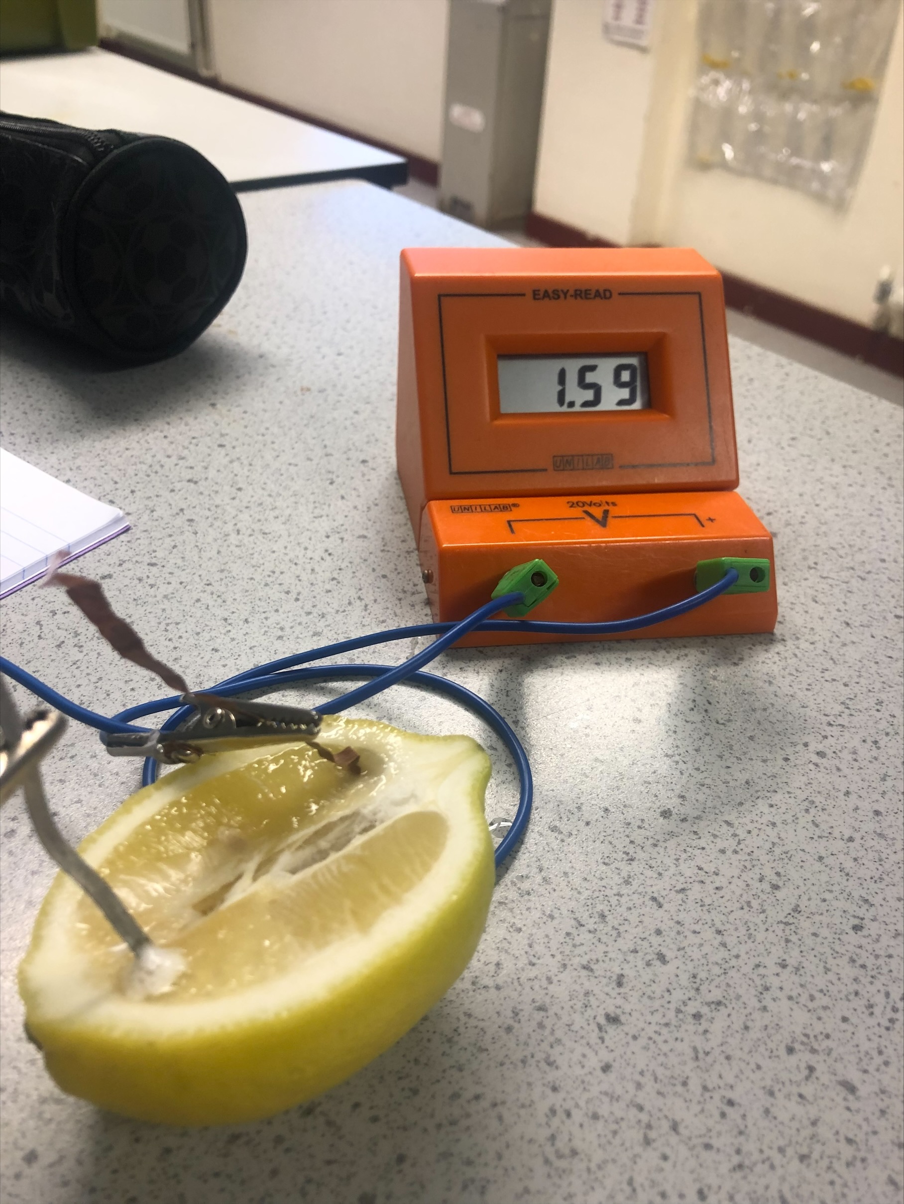 Building lemon clocks in Science! Paulet High School & 6th Form College