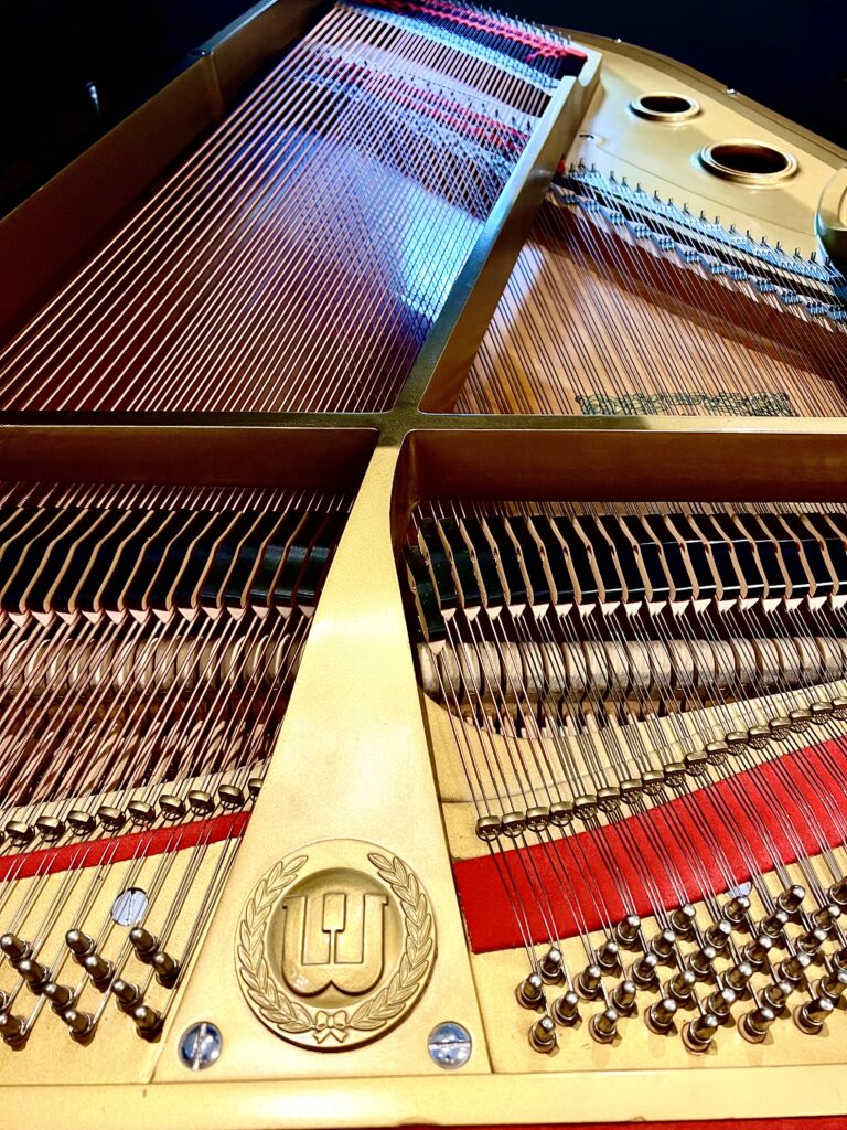 WAGNER Grand Model G-175 - Paul Hahn & Co.