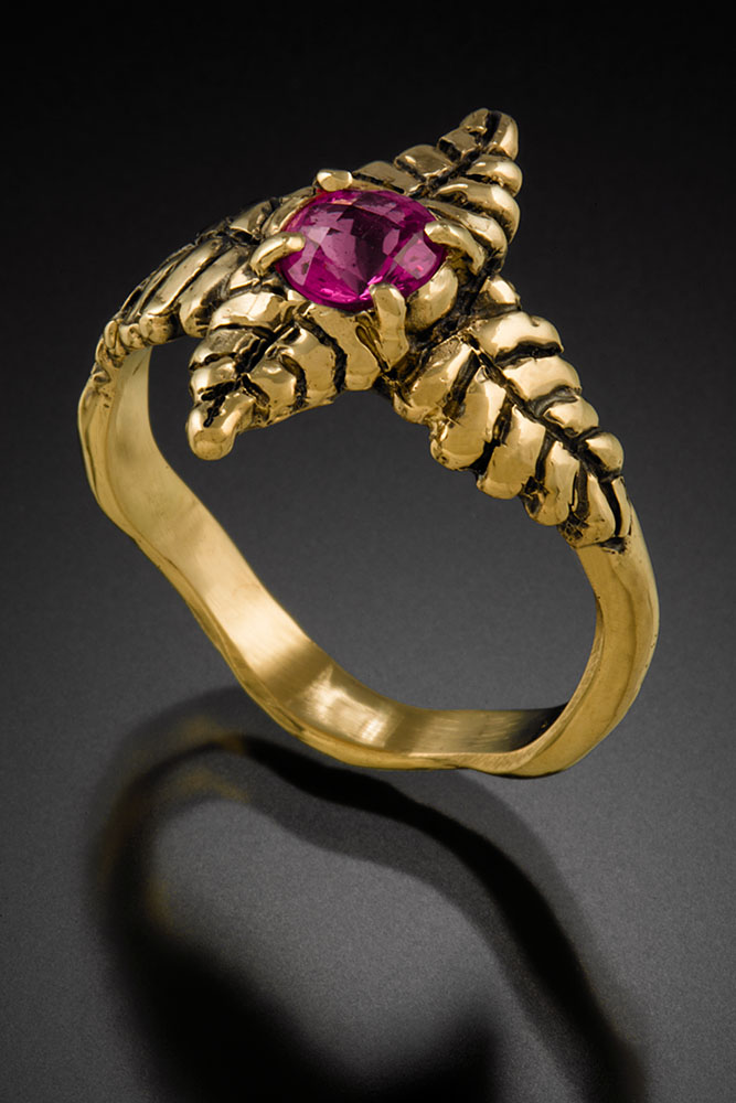 262 Coleus Leaves (NEW) Paul Hapip