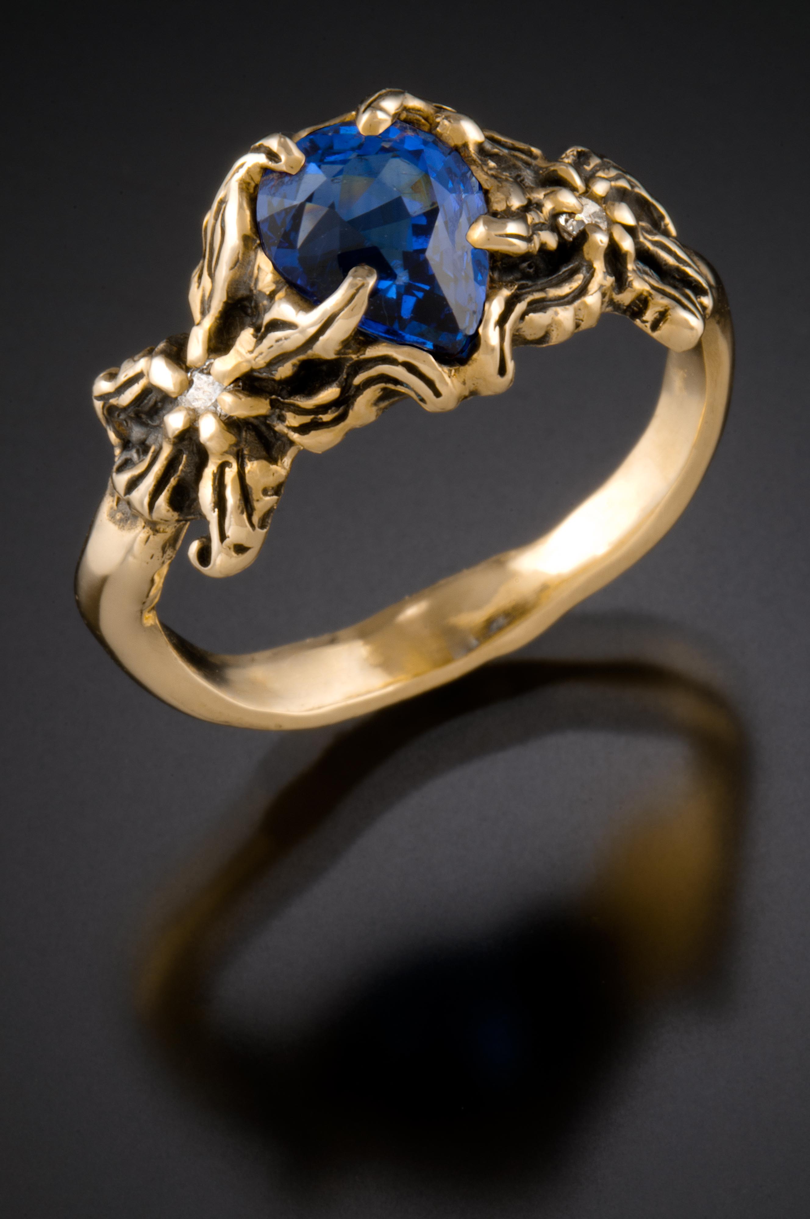 225 a Tiger Lily Flowers Paul Hapip