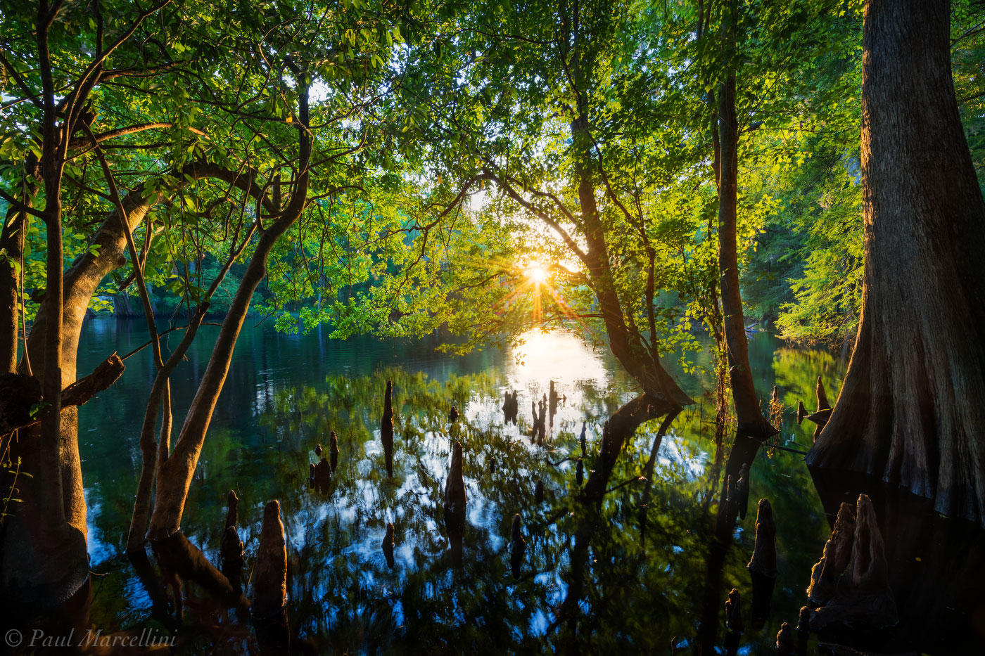 North Florida Florida Landscape Photography by Paul Marcellini