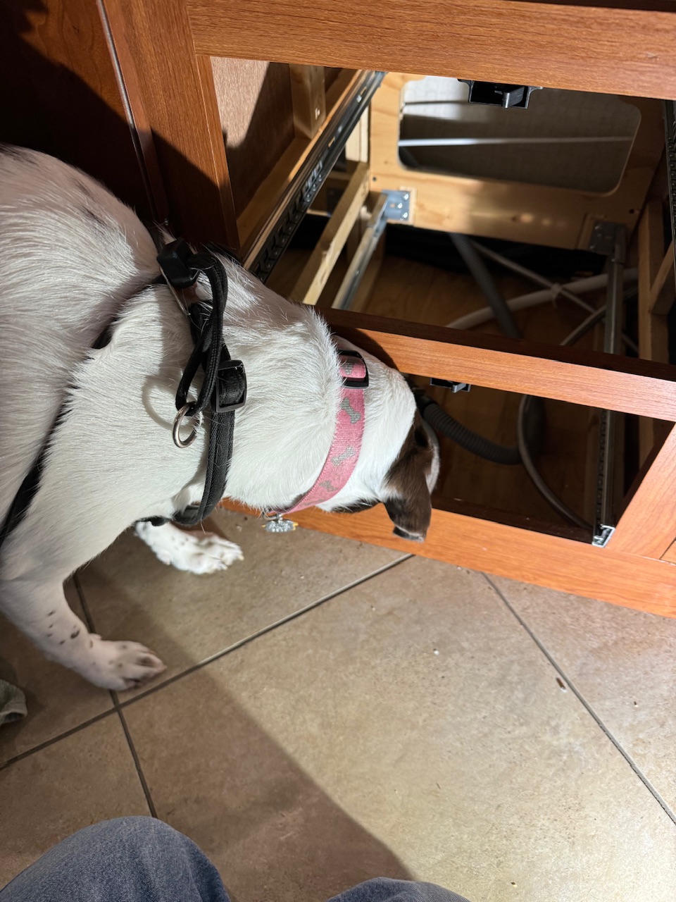 Installing a countertop dishwasher, as an undercounter dishwasher in a