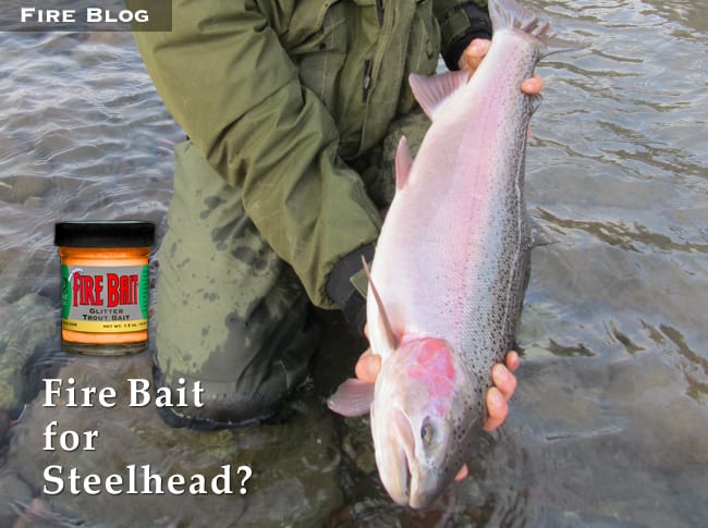 steelhead fishing bait