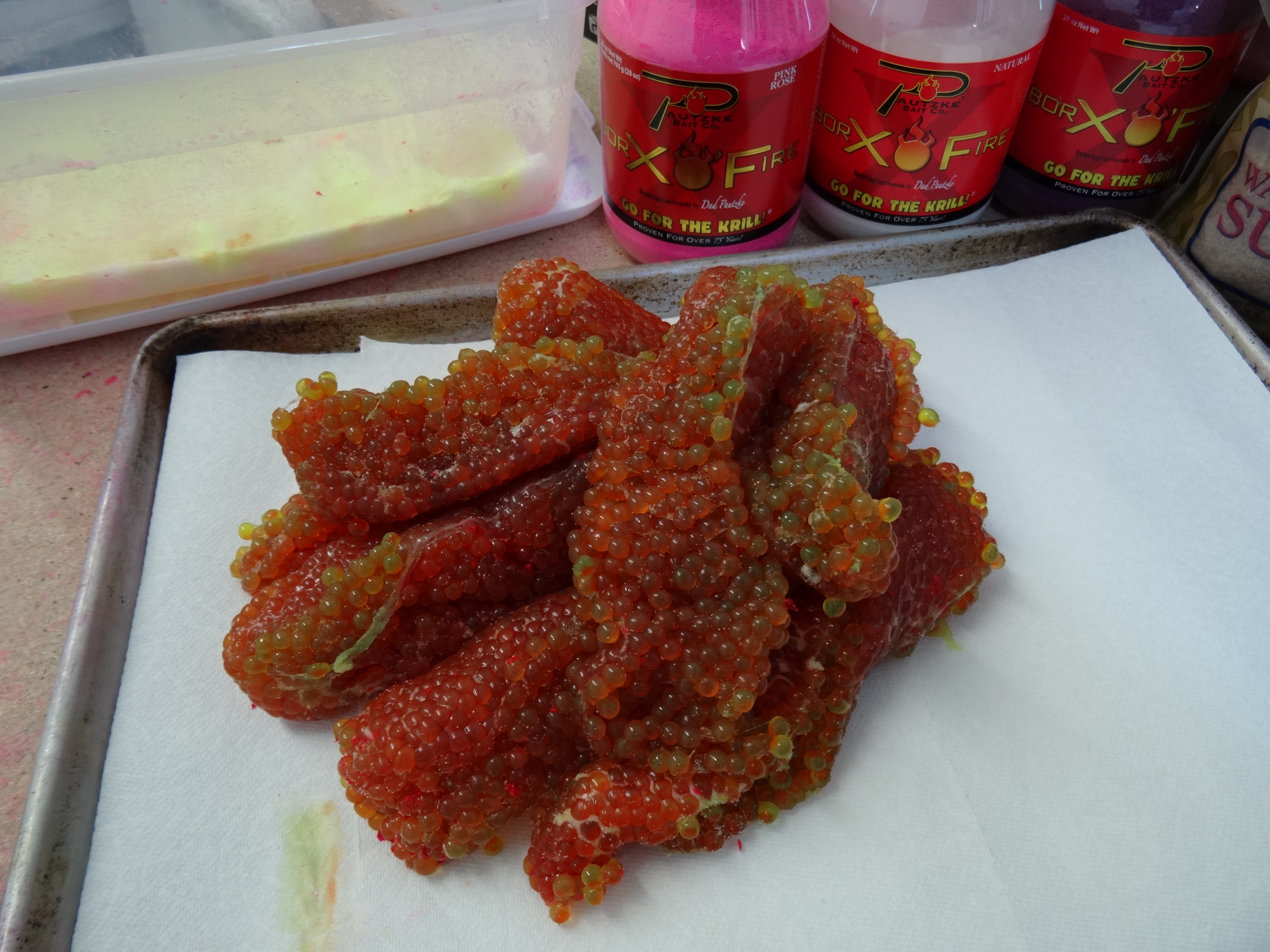 Learn to Cure Steelhead Eggs For All Conditions Pautzke Bait Co