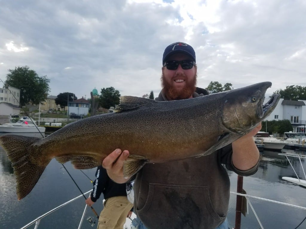 Wisconsin Salmon Bite Peaking Now Pautzke Bait Co