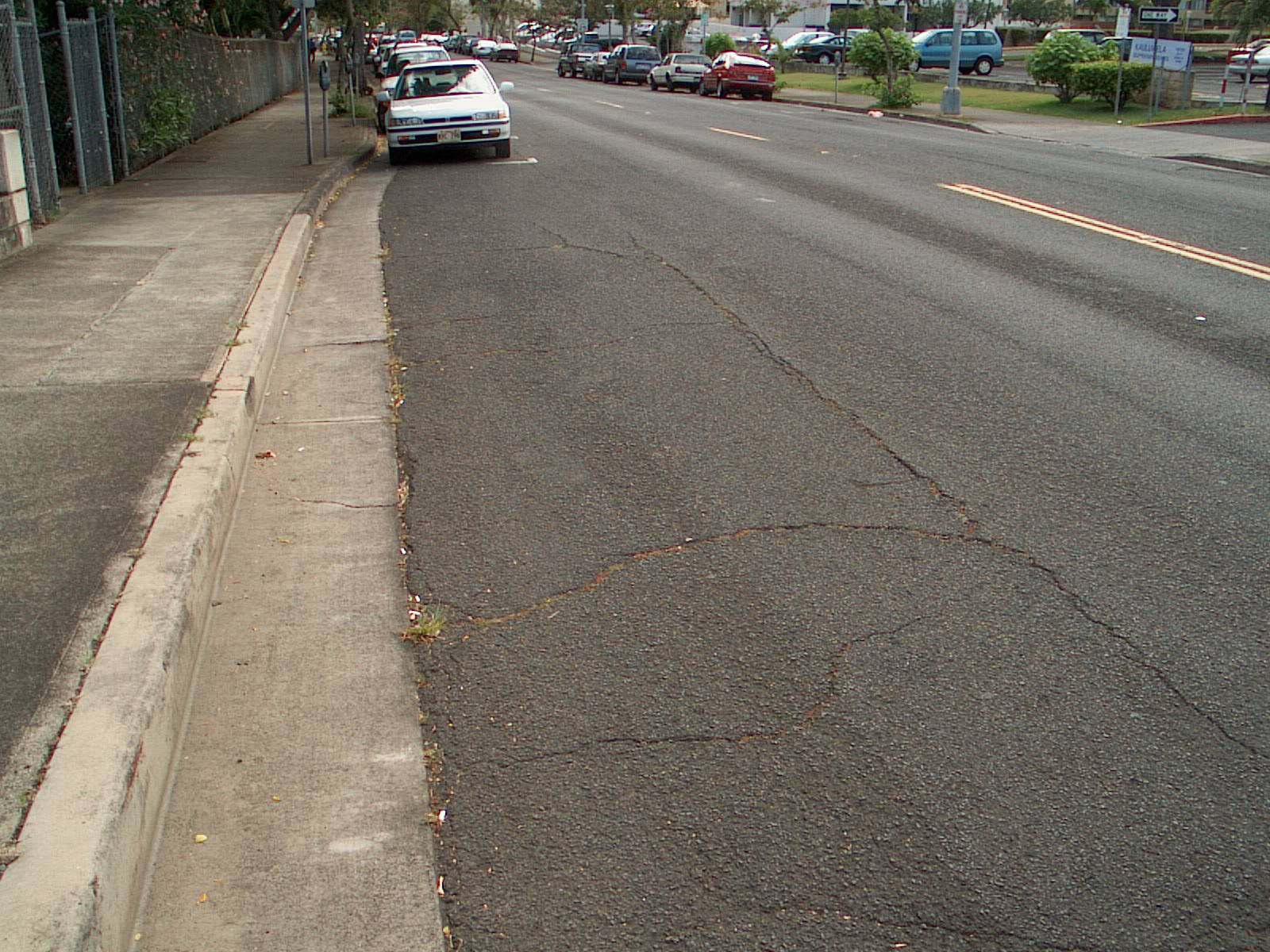 Block_cracking3 | Pavement Interactive