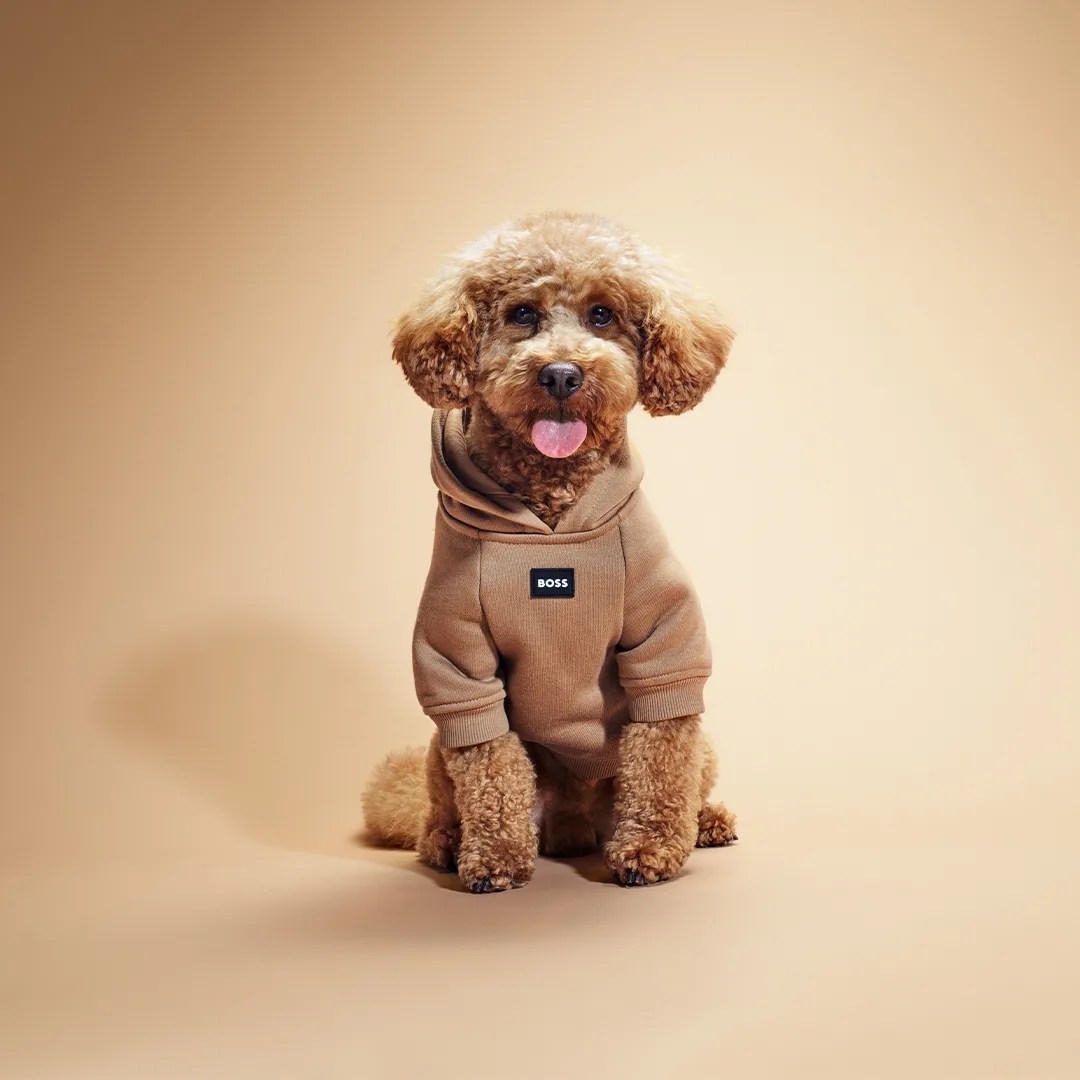 Finery for Pampered Pets Pavilion Kuala Lumpur