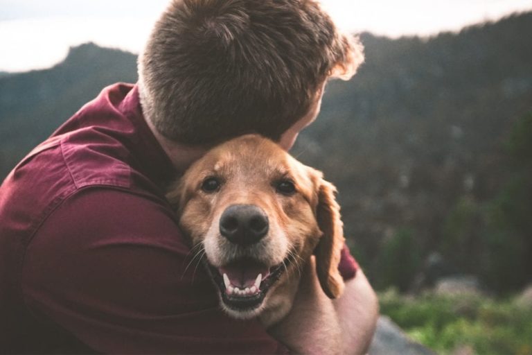19 Reasons Rescue Dogs Make Better Pets