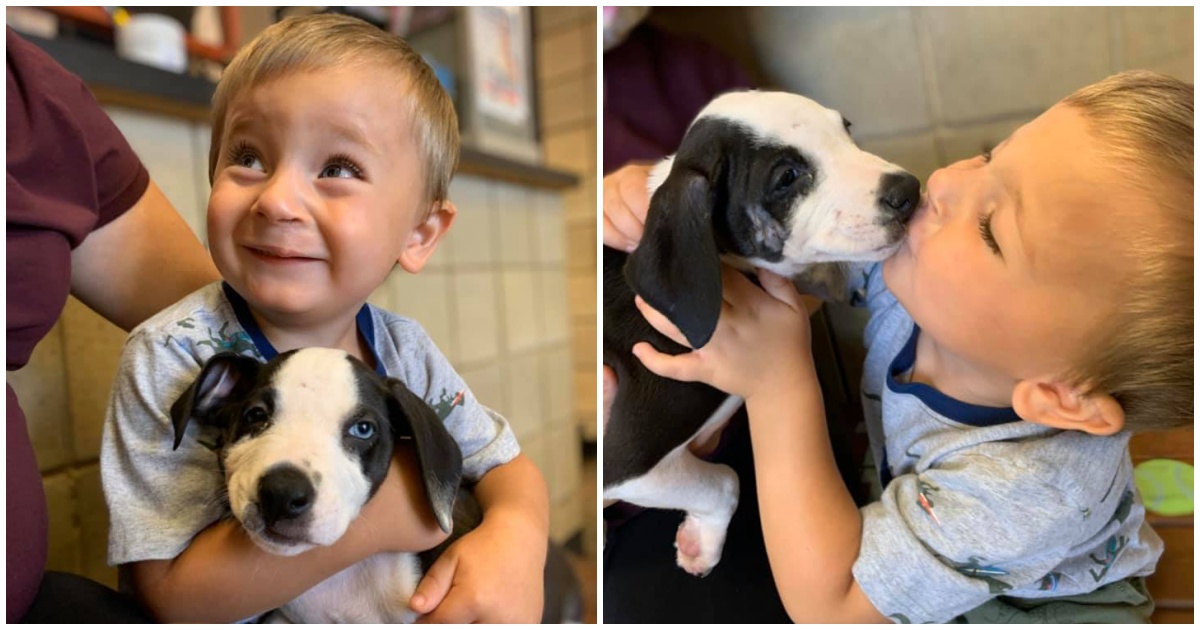 Boy With Cleft Lip Finds Comfort In Shelter Dog With Same Birth Defect