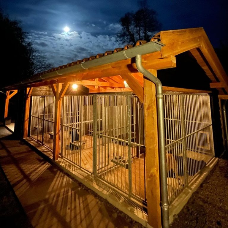 Beagle Kennel Ideas 6 Things to Consider for Your Dog’s Kennel PawCited