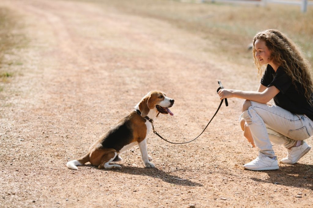 Why Can't Dogs Talk? Can Your Dog Learn to Speak? PawCited