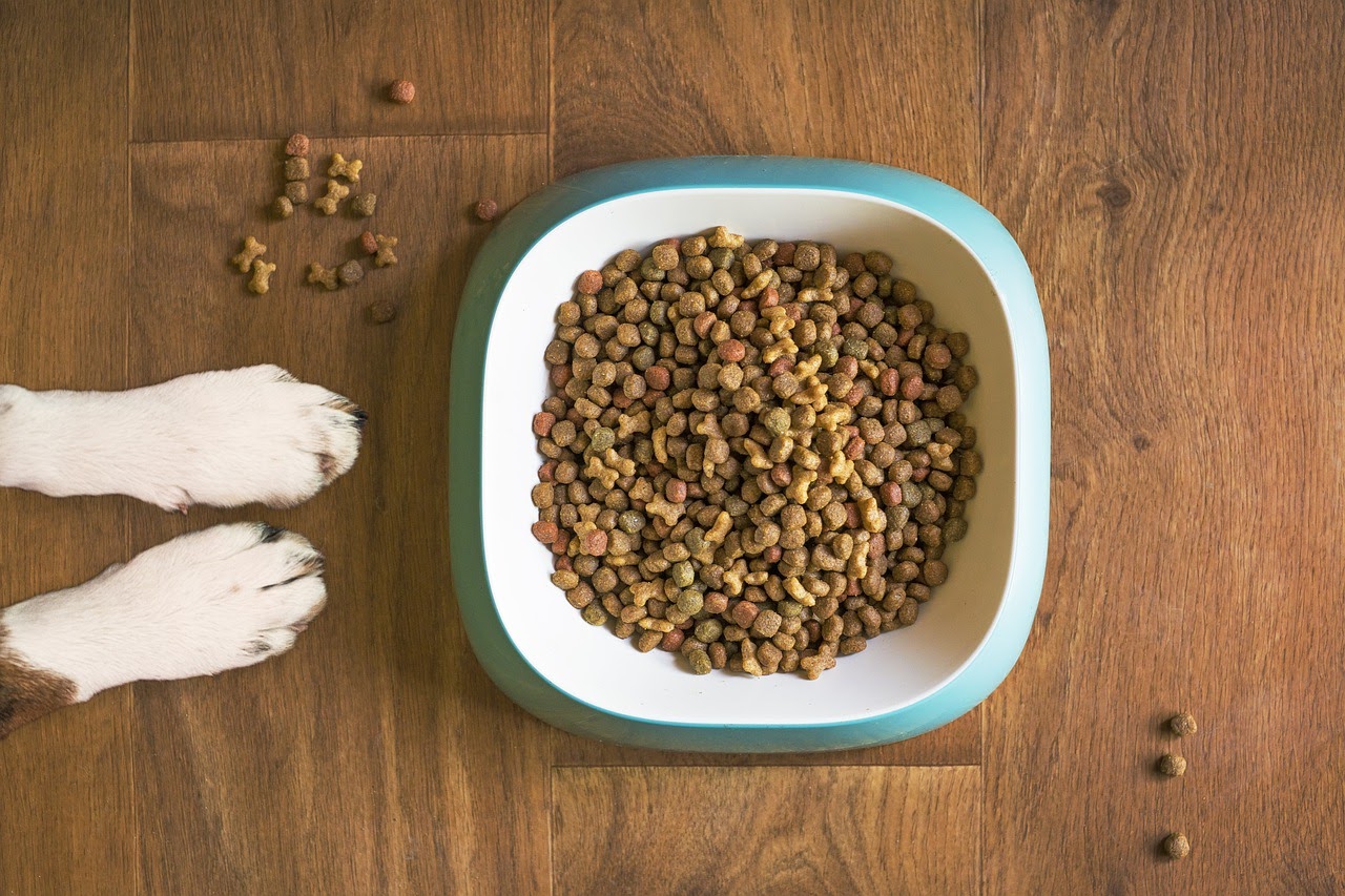 How Long Dog Food Last? How To Store Dry Dog Food Long Term PawCited