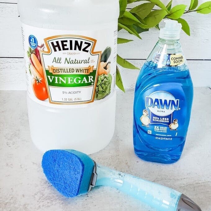 Can I Wash my Dog with Dawn? 4 DogShampoo Alternatives Found in Your Home.